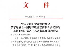 中足联发纪律细则：赛区球队对观众行为负责，多类不当行为从重罚